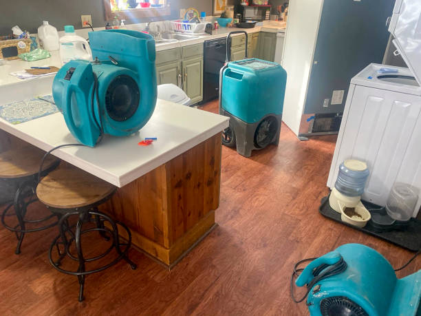 Best Sewage cleanup and water damage restoration  in Lake Havasu City, AZ