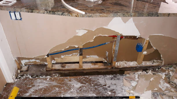 Best Water damage contractors near me  in Lake Havasu City, AZ