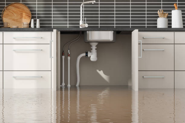 Best Flooded house restoration  in Lake Havasu City, AZ